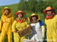 Organic wildflower honey cultivates sweet success for Mongolian beekeepers